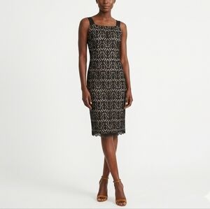 Adrianna Papell Black and Cream Lace Midi Dress